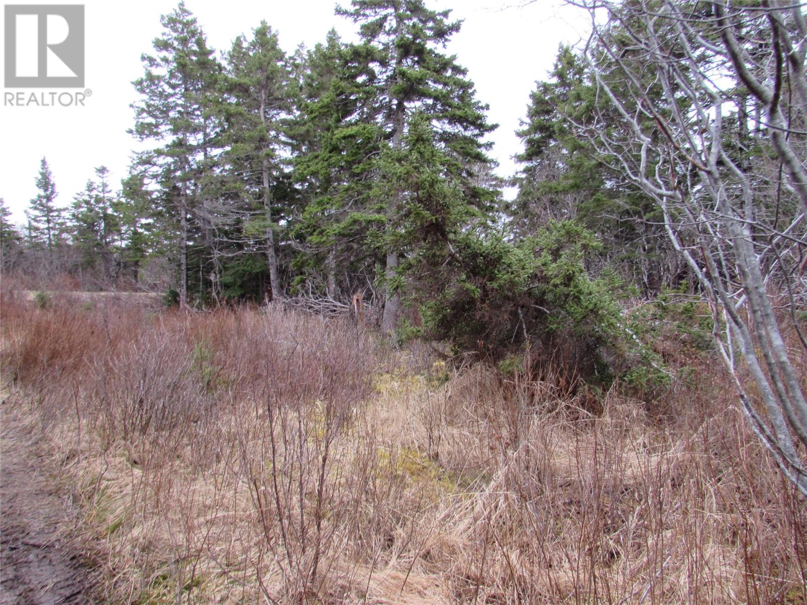 15-17 Bally Hack Road, Avondale, Newfoundland & Labrador  A0A 1B0 - Photo 29 - 1266970