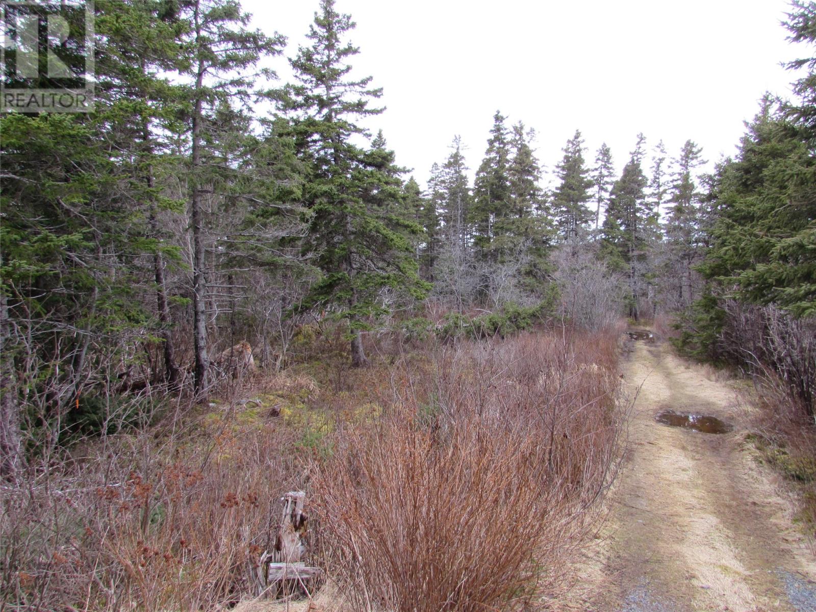 15-17 Bally Hack Road, Avondale, Newfoundland & Labrador  A0A 1B0 - Photo 3 - 1266970