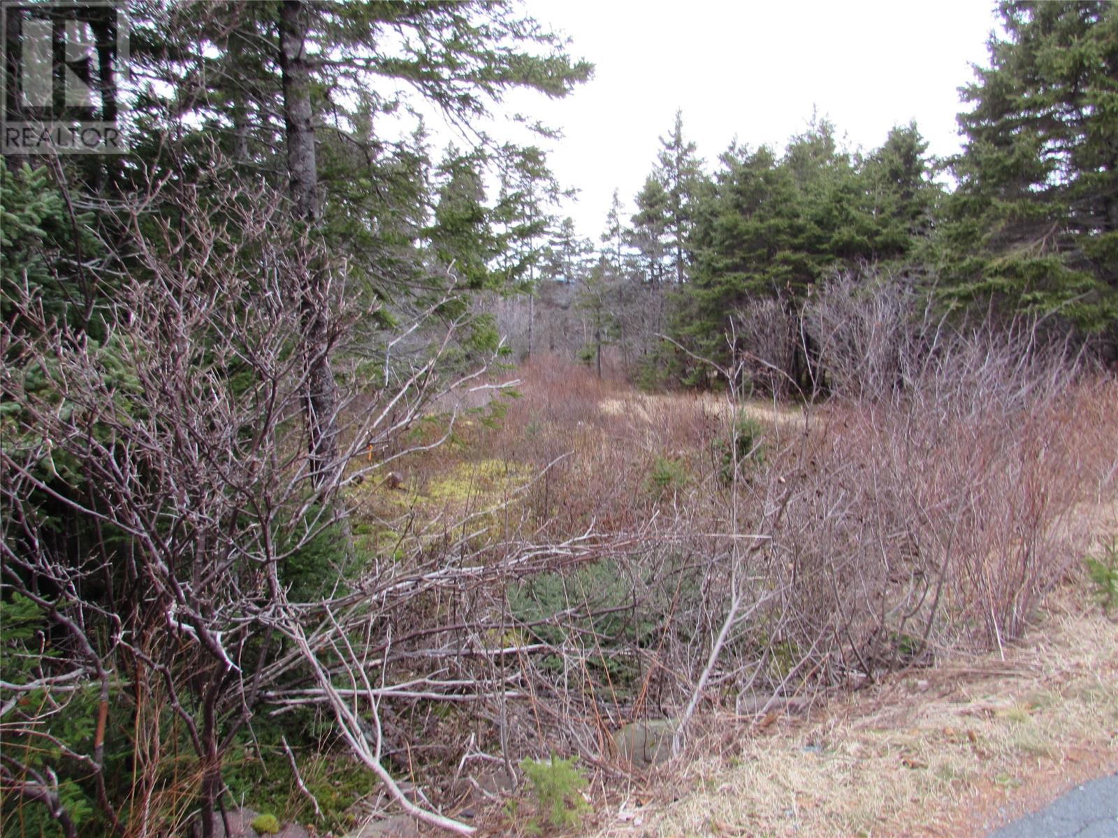 15-17 Bally Hack Road, Avondale, Newfoundland & Labrador  A0A 1B0 - Photo 30 - 1266970