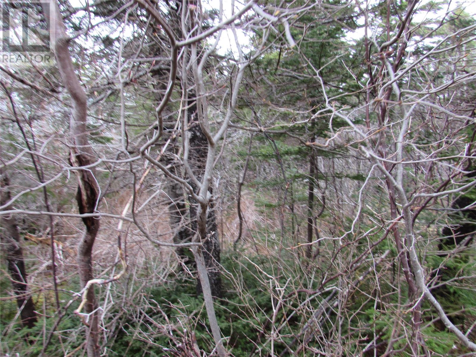 15-17 Bally Hack Road, Avondale, Newfoundland & Labrador  A0A 1B0 - Photo 34 - 1266970