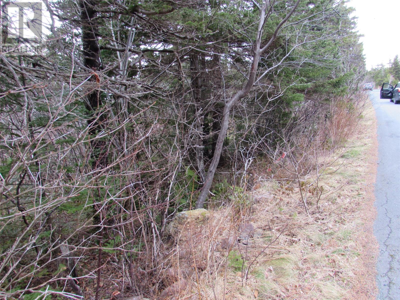 15-17 Bally Hack Road, Avondale, Newfoundland & Labrador  A0A 1B0 - Photo 35 - 1266970