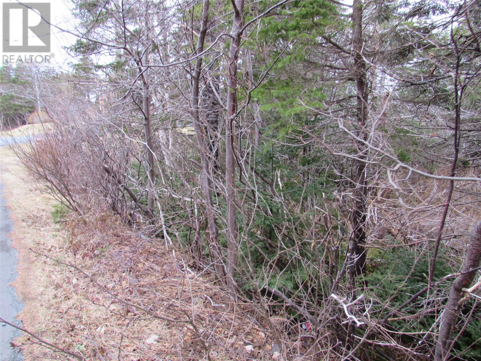 15-17 Bally Hack Road, Avondale, Newfoundland & Labrador  A0A 1B0 - Photo 36 - 1266970