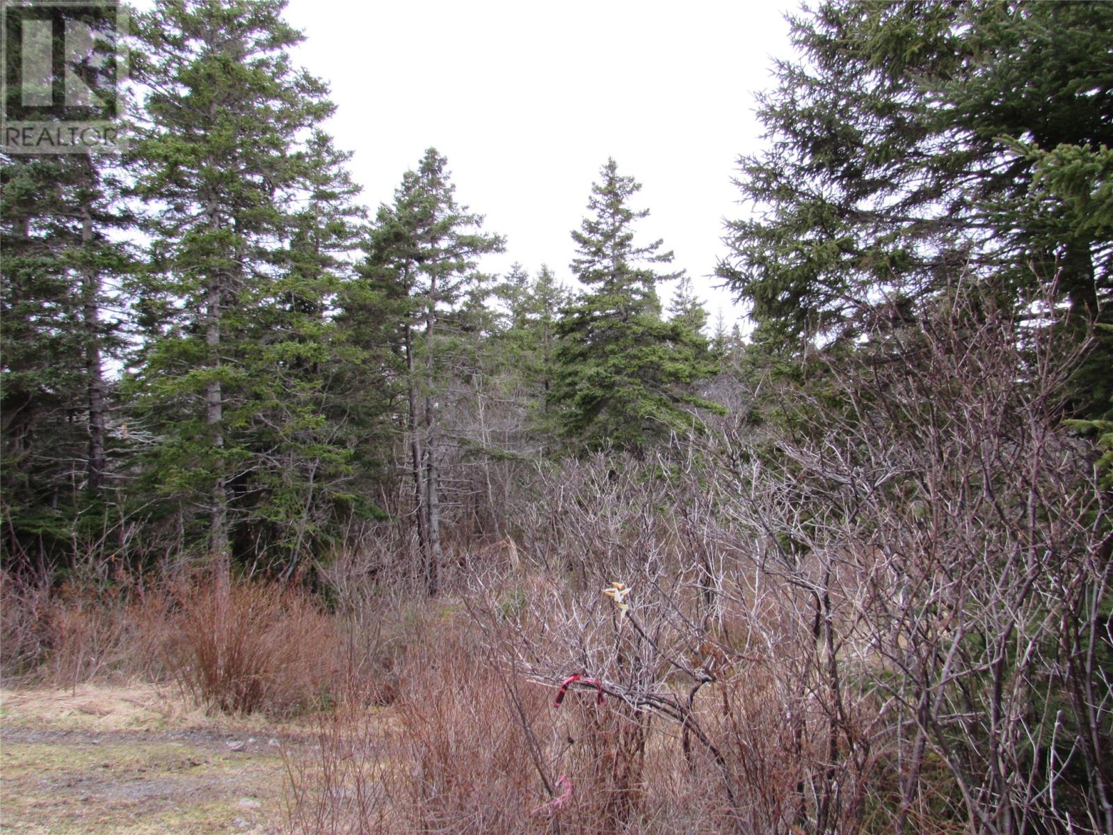 15-17 Bally Hack Road, Avondale, Newfoundland & Labrador  A0A 1B0 - Photo 4 - 1266970