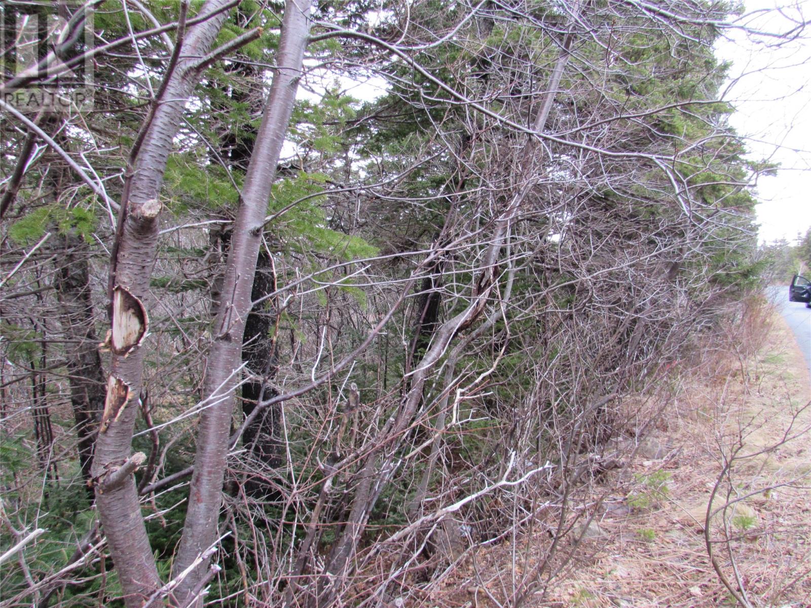 15-17 Bally Hack Road, Avondale, Newfoundland & Labrador  A0A 1B0 - Photo 40 - 1266970