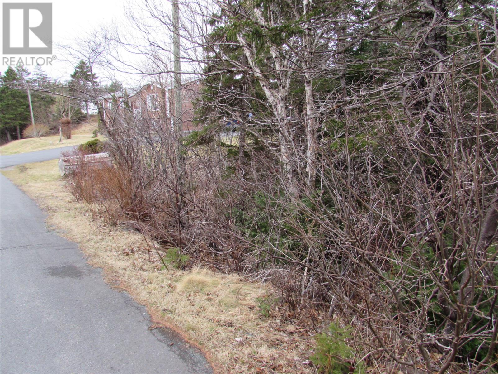 15-17 Bally Hack Road, Avondale, Newfoundland & Labrador  A0A 1B0 - Photo 42 - 1266970