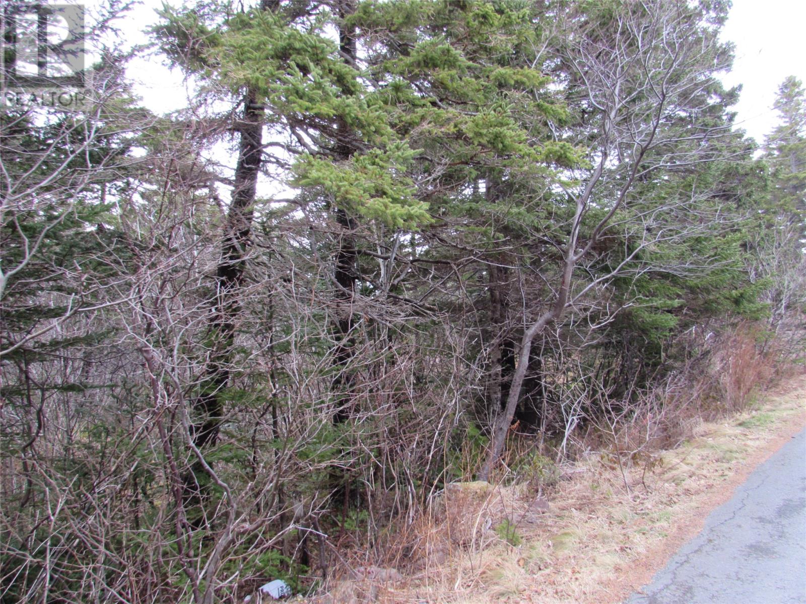 15-17 Bally Hack Road, Avondale, Newfoundland & Labrador  A0A 1B0 - Photo 45 - 1266970