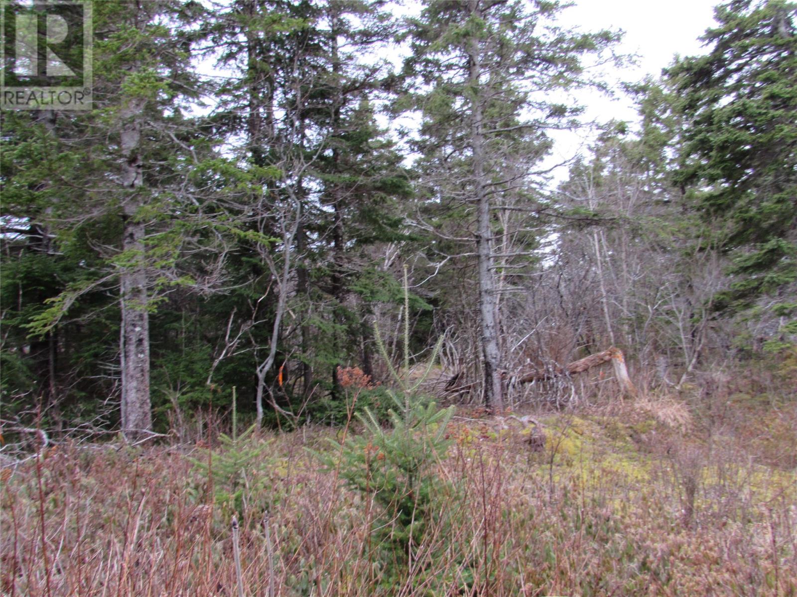 15-17 Bally Hack Road, Avondale, Newfoundland & Labrador  A0A 1B0 - Photo 6 - 1266970