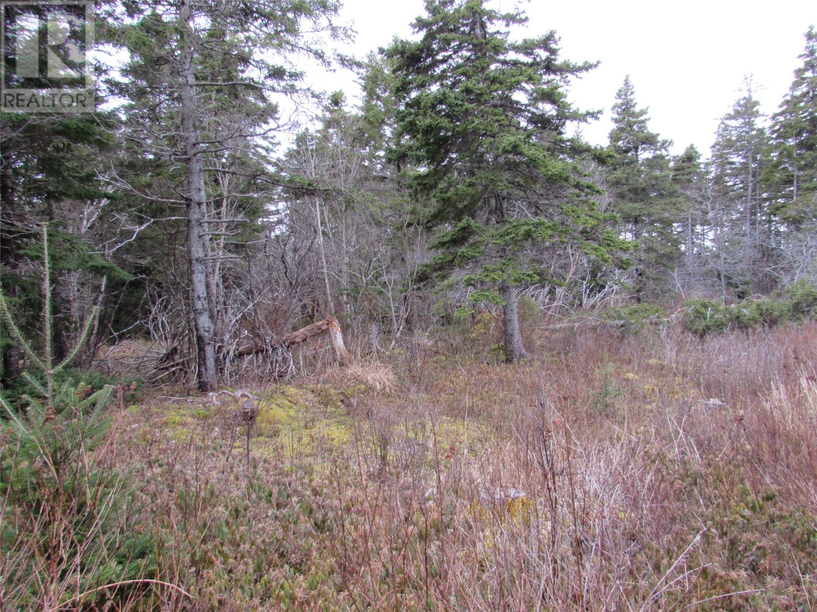 15-17 Bally Hack Road, Avondale, Newfoundland & Labrador  A0A 1B0 - Photo 8 - 1266970