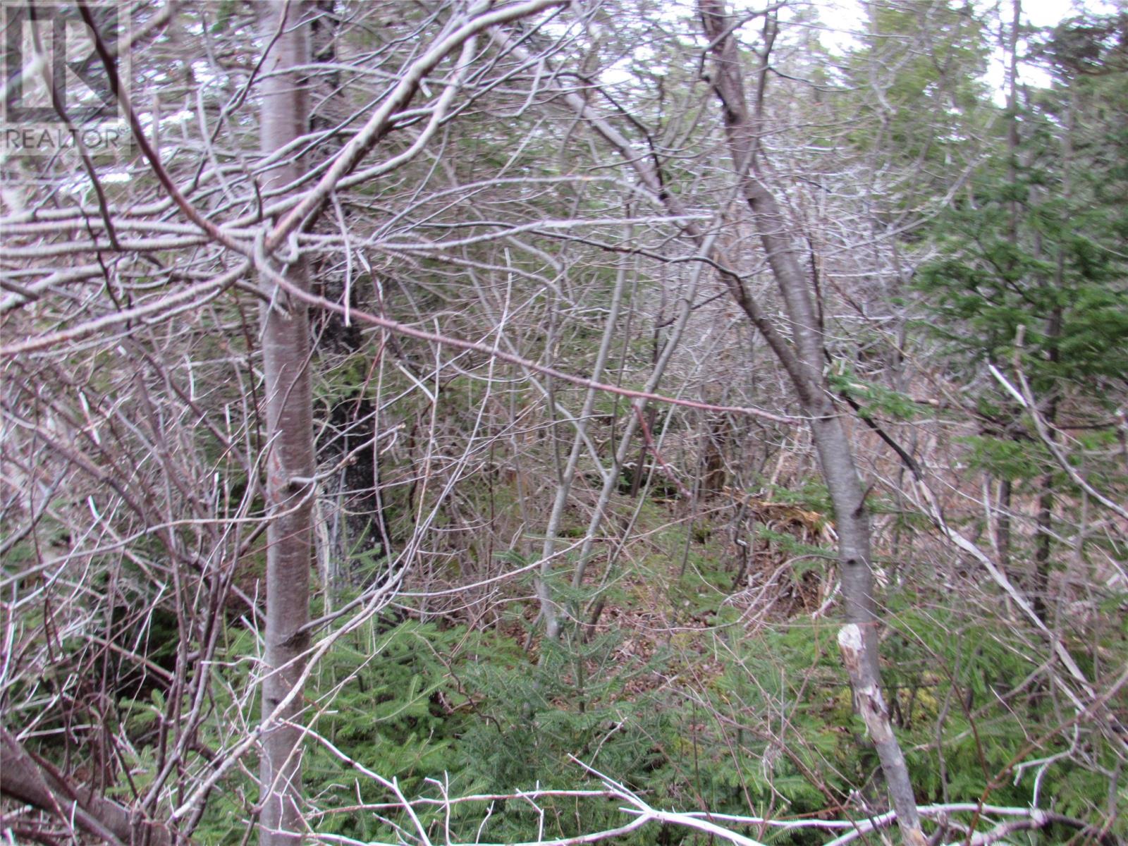 19-23 Bally Hack Road, Avondale, Newfoundland & Labrador  A0A 1B0 - Photo 5 - 1266971