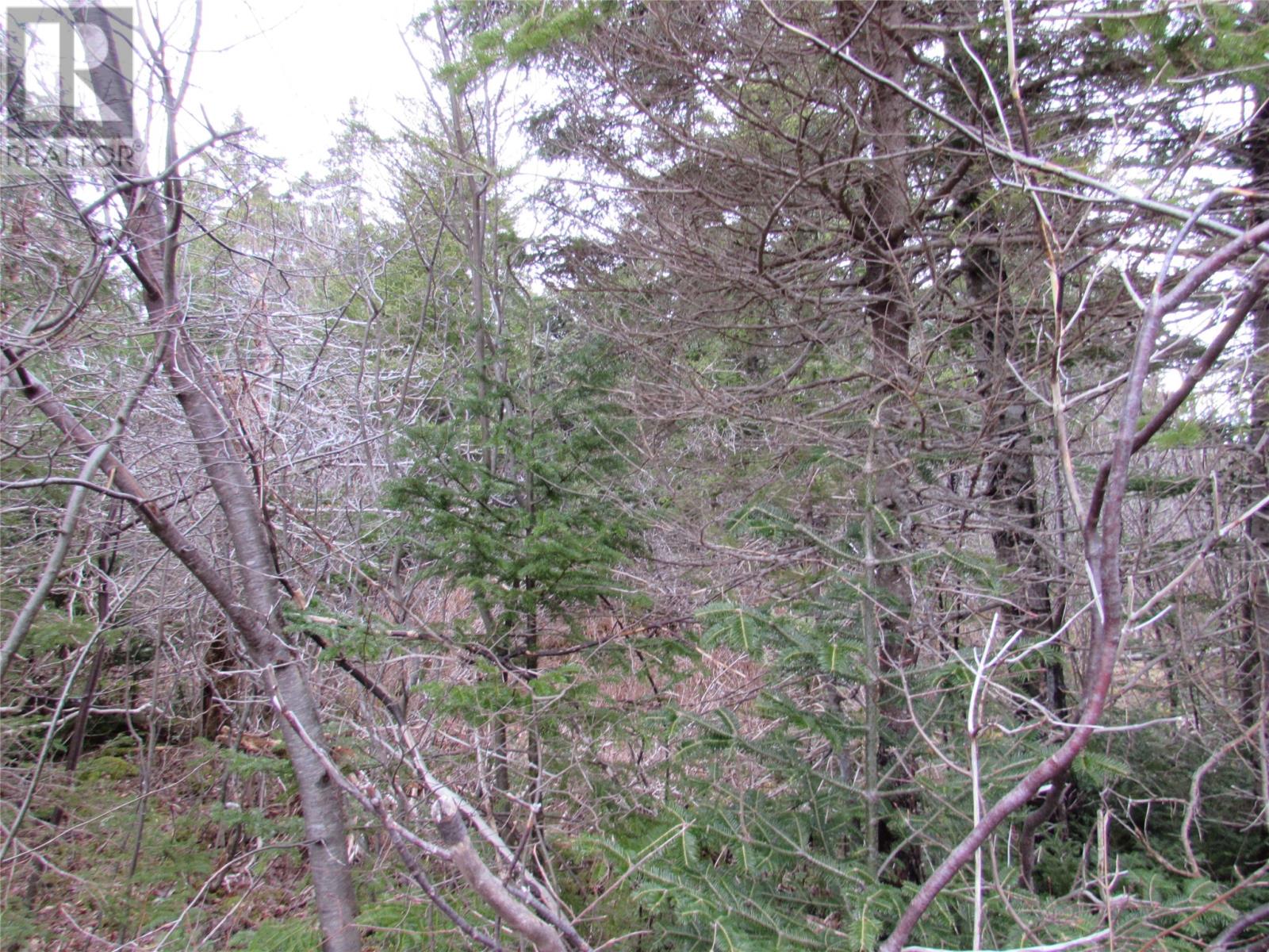 19-23 Bally Hack Road, Avondale, Newfoundland & Labrador  A0A 1B0 - Photo 8 - 1266971
