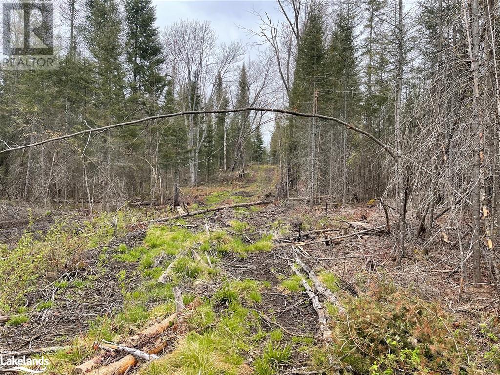 00 Trudgeons Road, Joly, Ontario  P0A 1Z0 - Photo 7 - 40527350