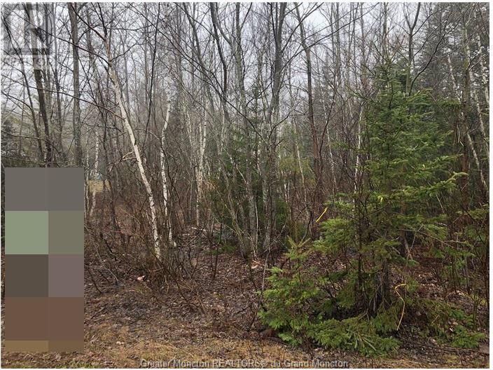 Lot Irishtown Rd, Irishtown, New Brunswick  E1C 4Z4 - Photo 2 - M152188