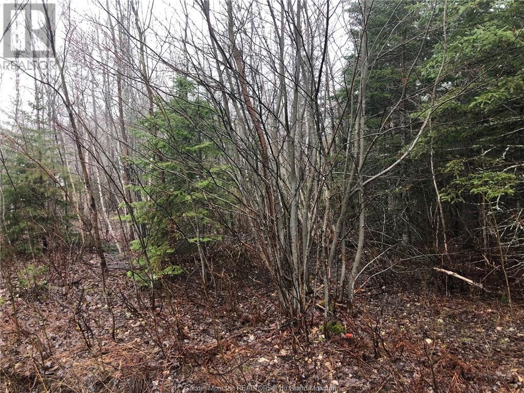 Lot Irishtown Rd, Irishtown, New Brunswick  E1C 4Z4 - Photo 1 - M152188