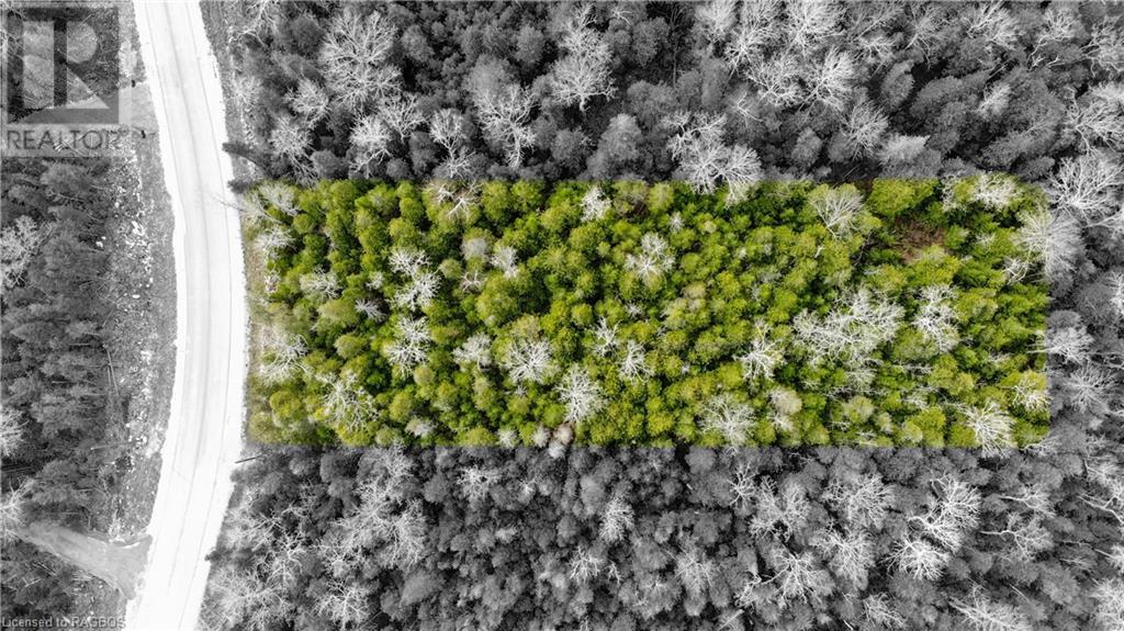 Lot 13 Trillium Crossing, Northern Bruce Peninsula, Ontario  N0H 1W0 - Photo 4 - 40528834