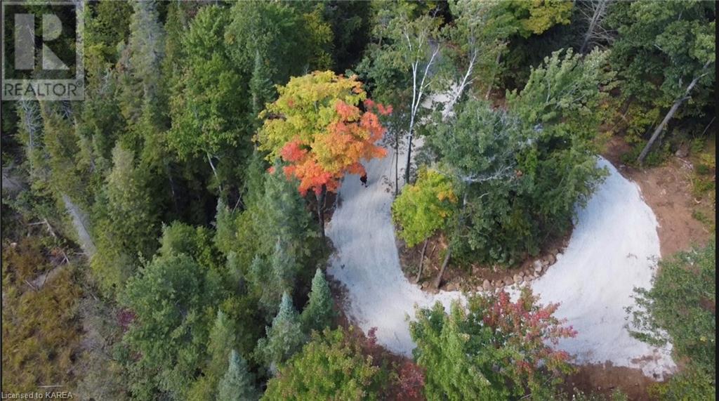 27 Skootamatta Lake Road, Cloyne, Ontario  K0H 1K0 - Photo 7 - 40529530