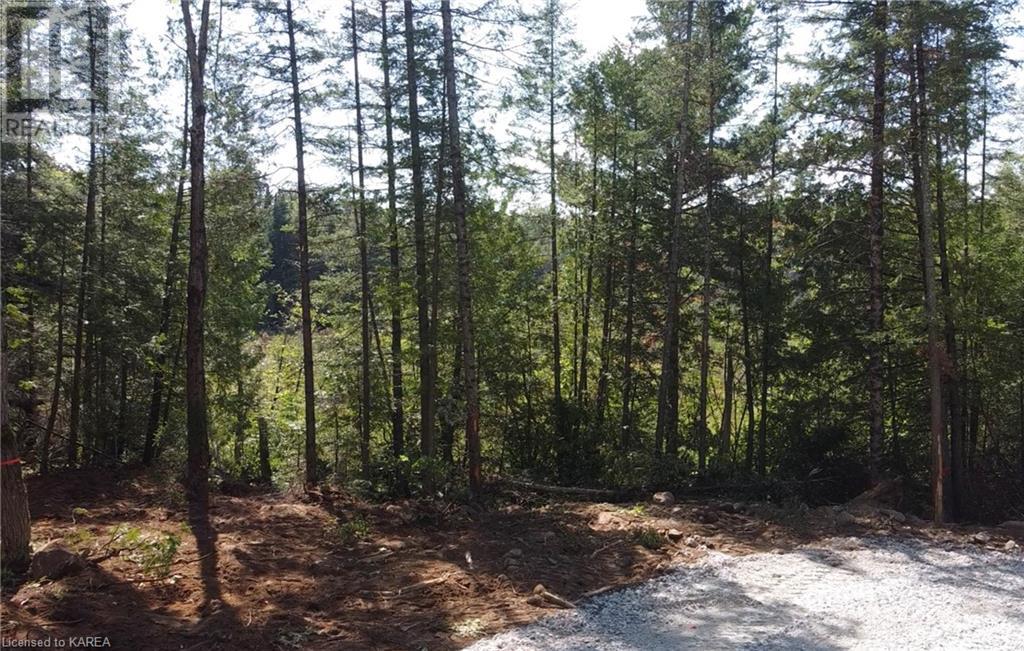 27 Skootamatta Lake Road, Cloyne, Ontario  K0H 1K0 - Photo 3 - 40529530