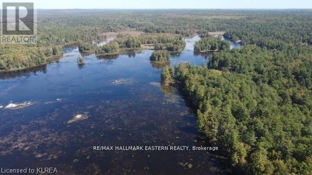 Lot 1 Bass Lake Rd, Galway-Cavendish And Harvey, Ontario  K0M 1A0 - Photo 12 - X7405844