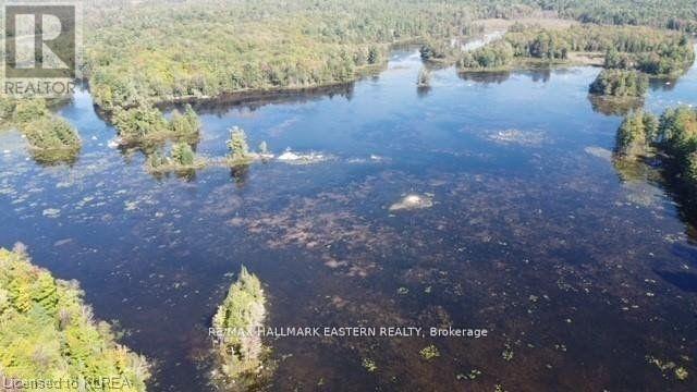 Lot 1 Bass Lake Road, Galway-Cavendish And Harvey, Ontario  K0M 1A0 - Photo 21 - X7405844