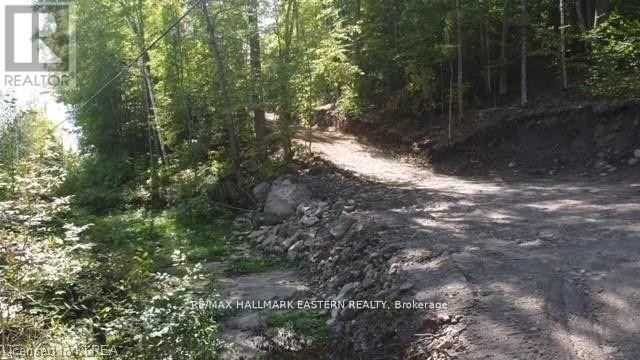 Lot 1 Bass Lake Rd, Galway-Cavendish And Harvey, Ontario  K0M 1A0 - Photo 22 - X7405844
