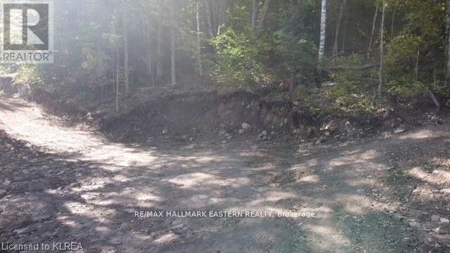 Lot 1 Bass Lake Rd, Galway-Cavendish And Harvey, Ontario  K0M 1A0 - Photo 3 - X7405844