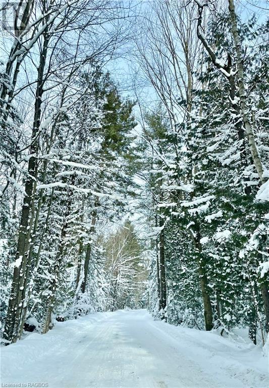 220 Ogimah Road, Chief's Point Indian Reserve #28, Ontario  N0H 2G0 - Photo 45 - 40529496