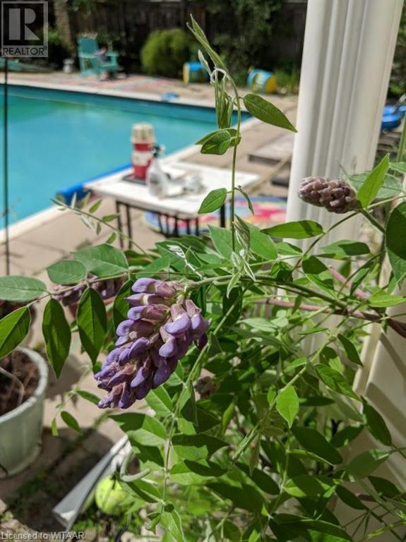 263 Light Street, Woodstock, Ontario  N4S 6H9 - Photo 41 - 40530278