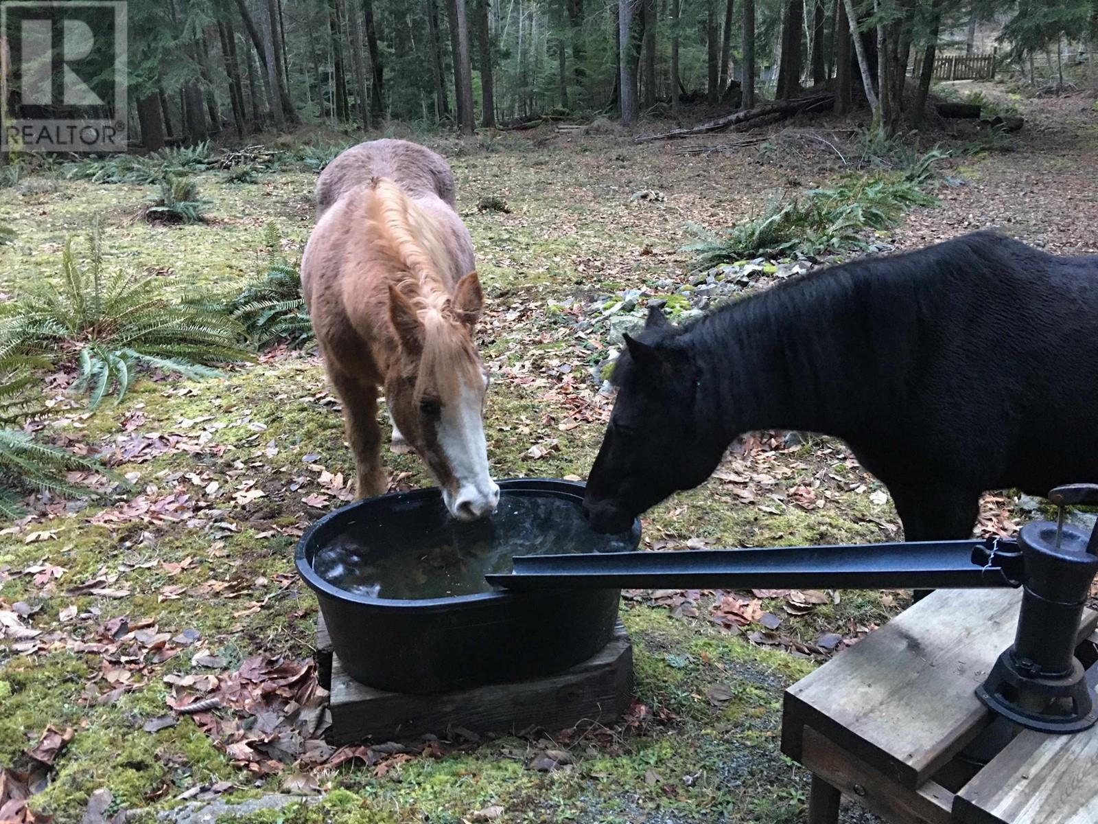 Lot 8 Mountain Road, Gambier Island, British Columbia  V0N 1V0 - Photo 11 - R2842885