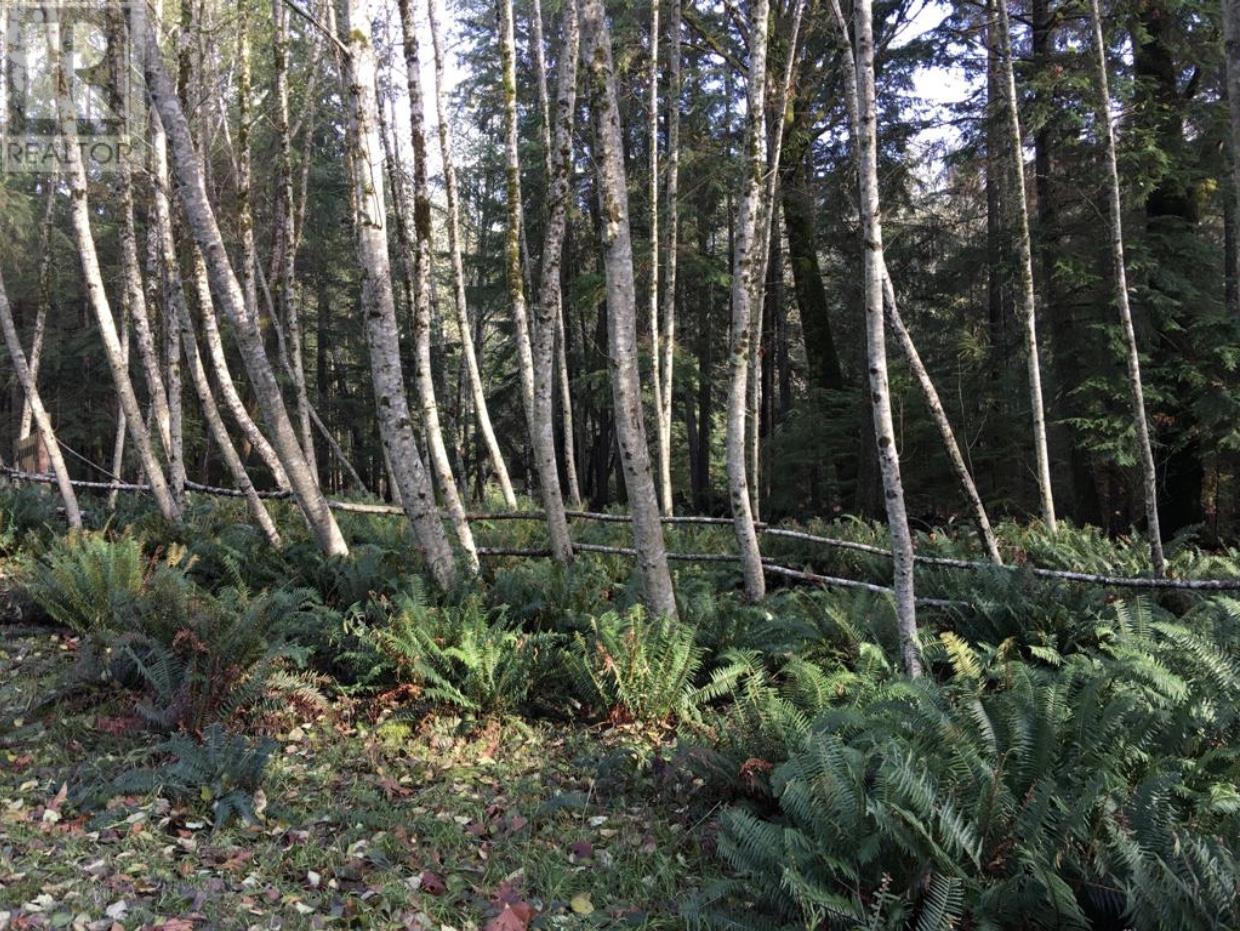 Lot 8 Mountain Road, Gambier Island, British Columbia  V0N 1V0 - Photo 4 - R2842885