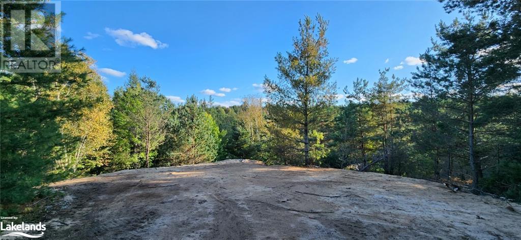 0 Goreville Road, South River, Ontario  P0A 1X0 - Photo 11 - 40530077