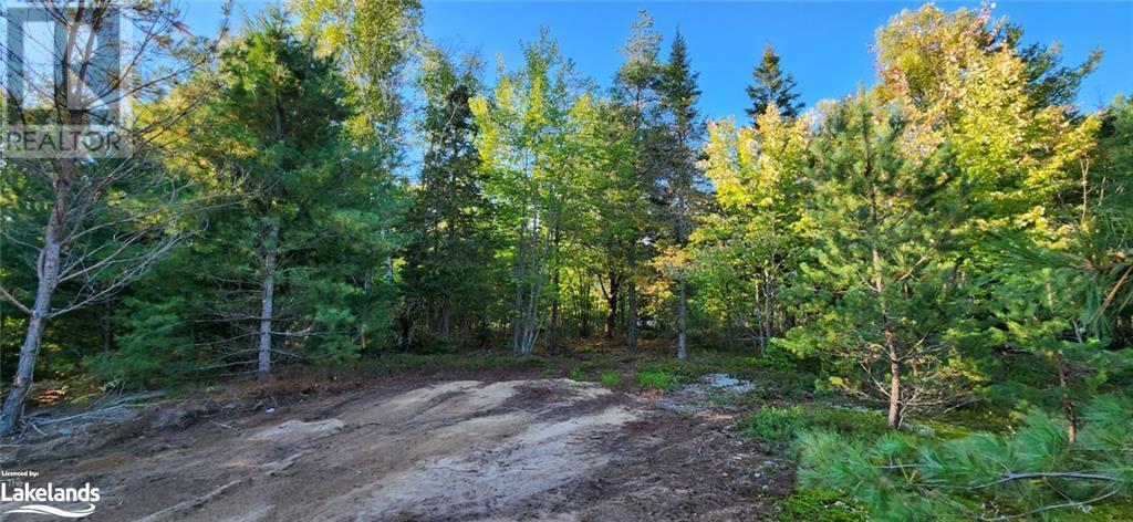 0 Goreville Road, South River, Ontario  P0A 1X0 - Photo 14 - 40530077