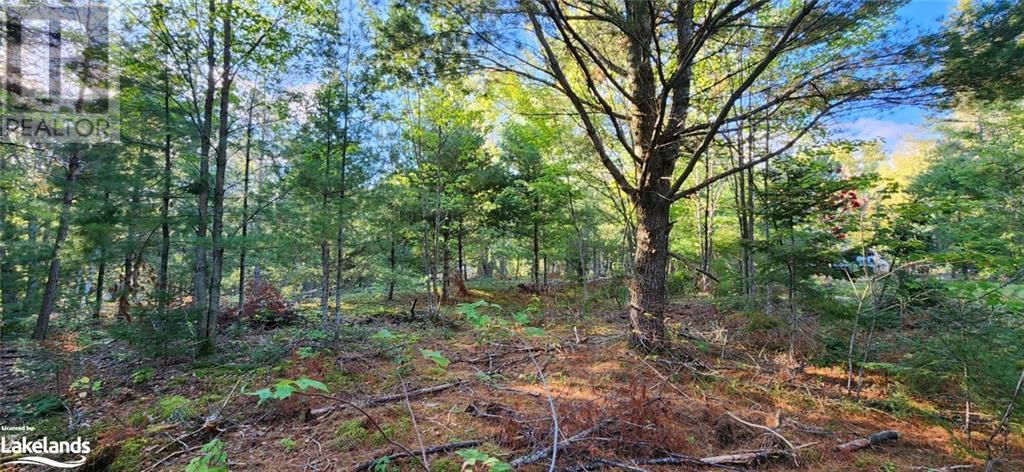 0 Goreville Road, South River, Ontario  P0A 1X0 - Photo 16 - 40530077