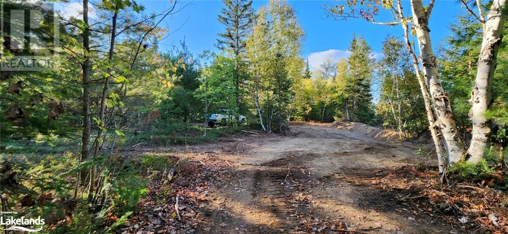 0 Goreville Road, South River, Ontario  P0A 1X0 - Photo 17 - 40530077