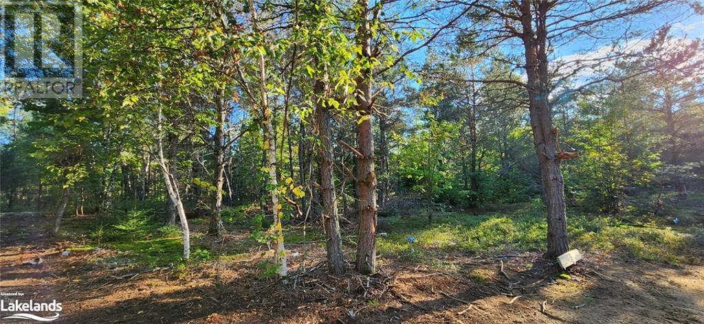 0 Goreville Road, South River, Ontario  P0A 1X0 - Photo 22 - 40530077