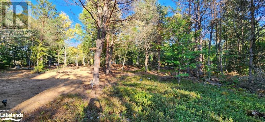 0 Goreville Road, South River, Ontario  P0A 1X0 - Photo 26 - 40530077