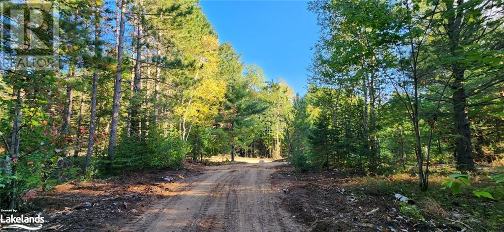 0 Goreville Road, South River, Ontario  P0A 1X0 - Photo 29 - 40530077