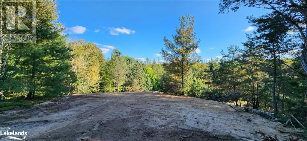 0 Goreville Road, South River, Ontario  P0A 1X0 - Photo 3 - 40530077