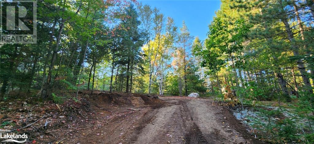 0 Goreville Road, South River, Ontario  P0A 1X0 - Photo 36 - 40530077