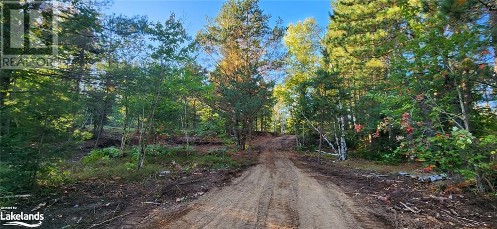 0 Goreville Road, South River, Ontario  P0A 1X0 - Photo 5 - 40530077