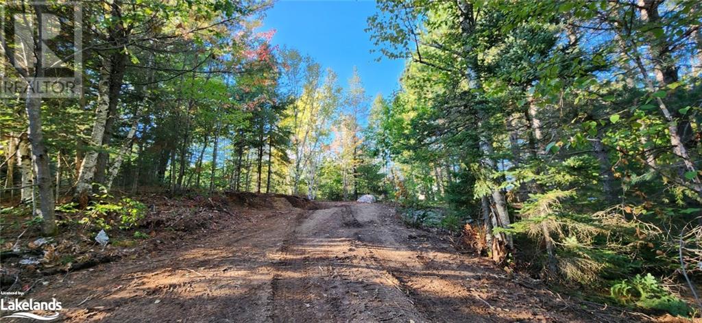 0 Goreville Road, South River, Ontario  P0A 1X0 - Photo 6 - 40530077