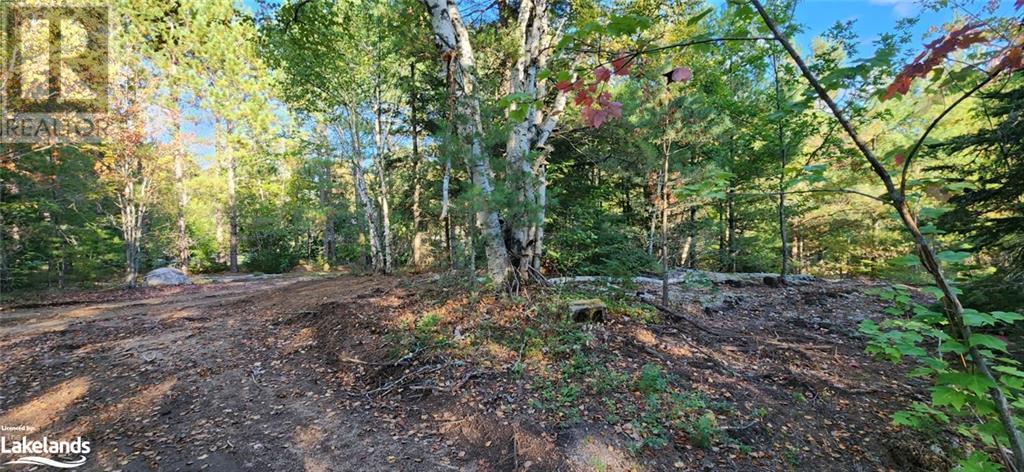 0 Goreville Road, South River, Ontario  P0A 1X0 - Photo 8 - 40530077