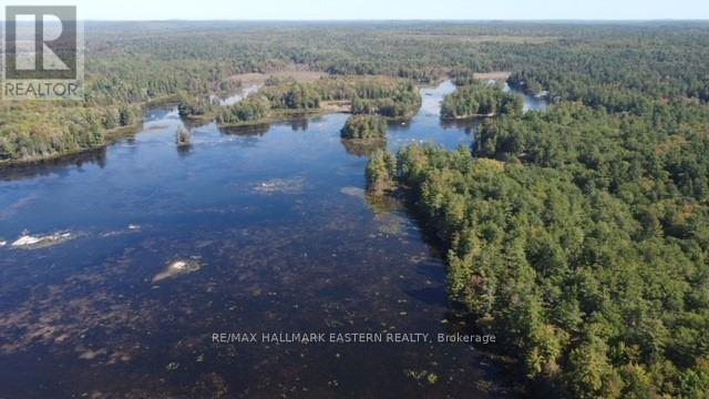 Lot 2 Bass Lake Rd, Galway-Cavendish And Harvey, Ontario  K0M 1A0 - Photo 13 - X8010342