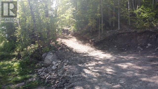 Lot 2 Bass Lake Rd, Galway-Cavendish And Harvey, Ontario  K0M 1A0 - Photo 2 - X8010342
