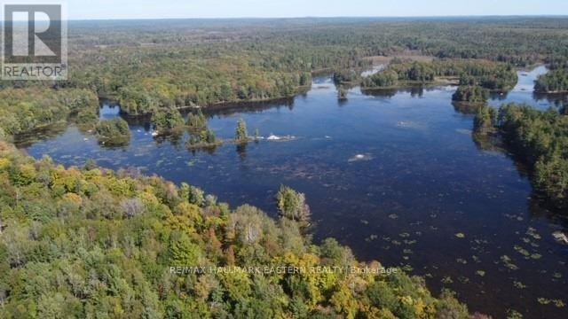 Lot 2 Bass Lake Rd, Galway-Cavendish And Harvey, Ontario  K0M 1A0 - Photo 21 - X8010342