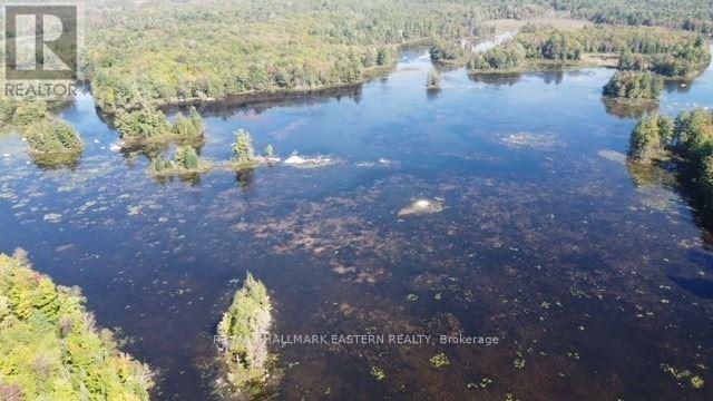 Lot 2 Bass Lake Road, Galway-Cavendish And Harvey, Ontario  K0M 1A0 - Photo 22 - X8010342