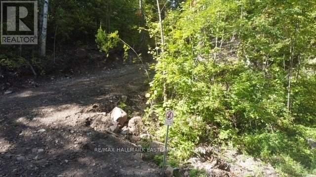 Lot 2 Bass Lake Rd, Galway-Cavendish And Harvey, Ontario  K0M 1A0 - Photo 23 - X8010342