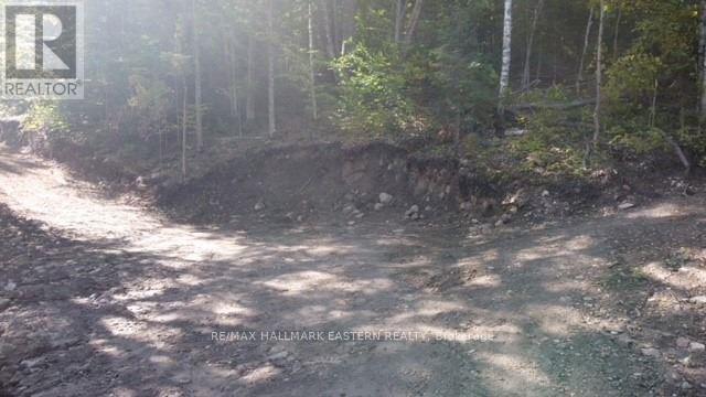 Lot 2 Bass Lake Rd, Galway-Cavendish And Harvey, Ontario  K0M 1A0 - Photo 4 - X8010342