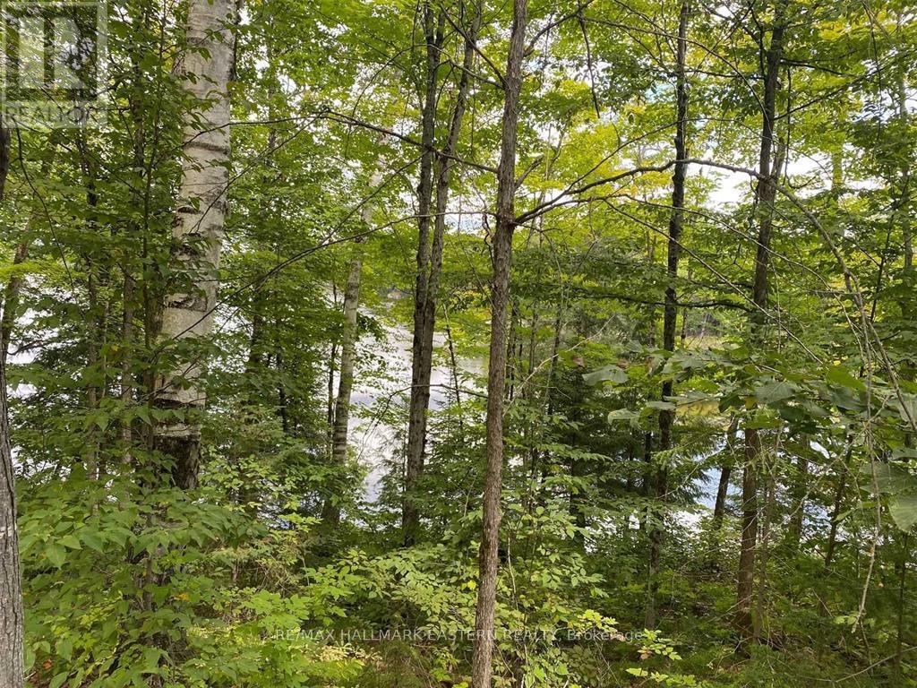 Lot 2 Bass Lake Rd, Galway-Cavendish And Harvey, Ontario  K0M 1A0 - Photo 6 - X8010342