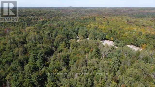 Lot 2 Bass Lake Rd, Galway-Cavendish And Harvey, Ontario  K0M 1A0 - Photo 8 - X8010342
