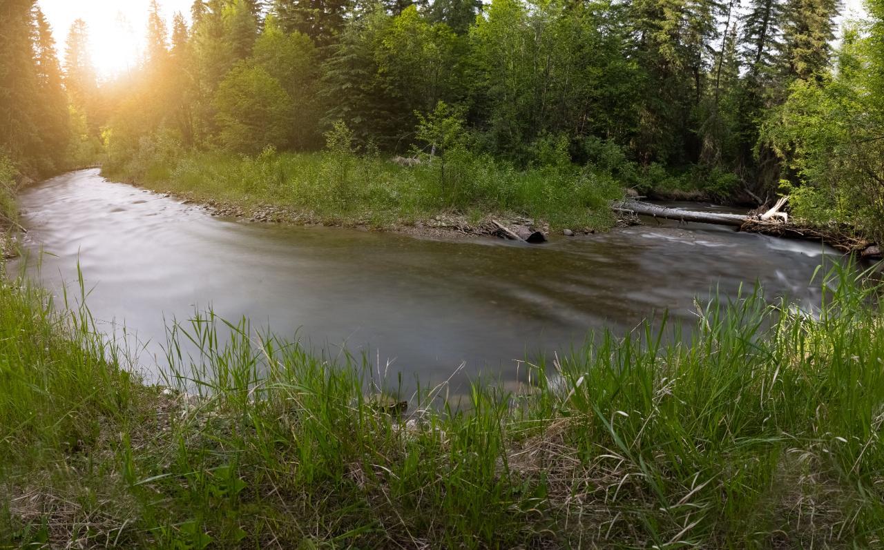 4901 Ld Ranch Road, Kimberley, British Columbia  V1A 2L4 - Photo 10 - 2474634