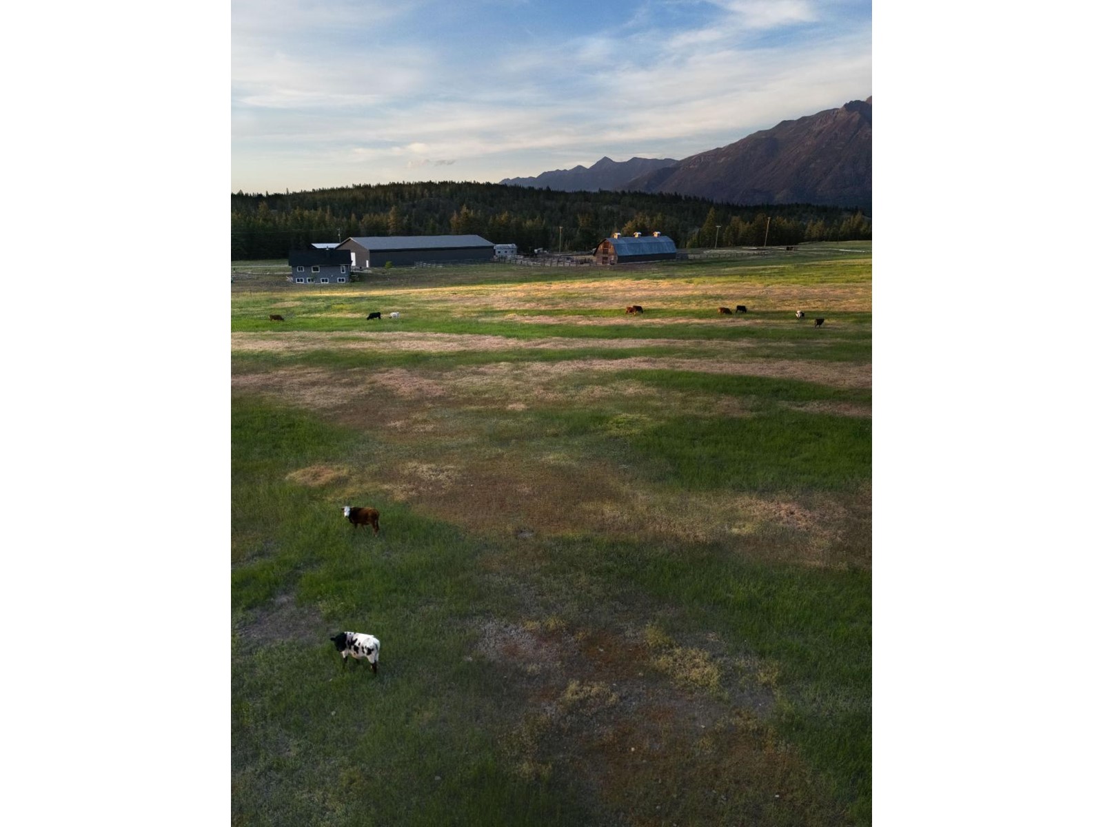 4901 Ld Ranch Road, Kimberley, British Columbia  V1A 2L4 - Photo 56 - 2474634